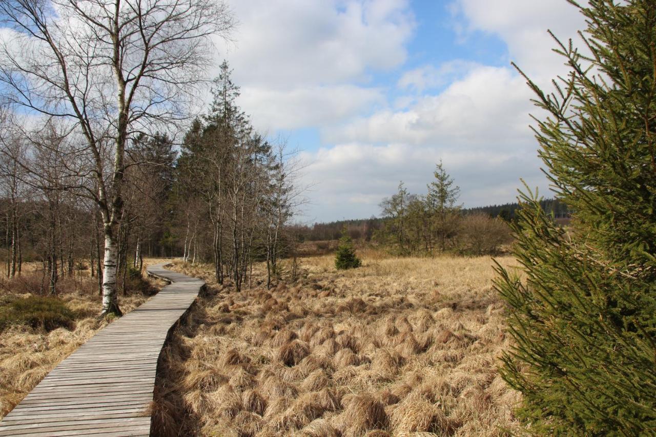 Villa le nid des Mésanges Bullange/Büllingen Esterno foto