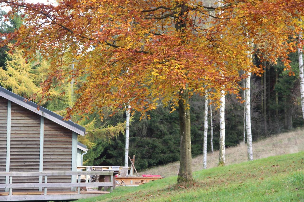 Villa le nid des Mésanges Bullange/Büllingen Esterno foto
