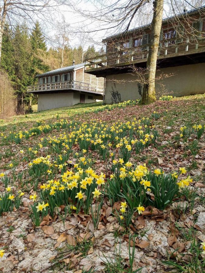Villa le nid des Mésanges Bullange/Büllingen Esterno foto